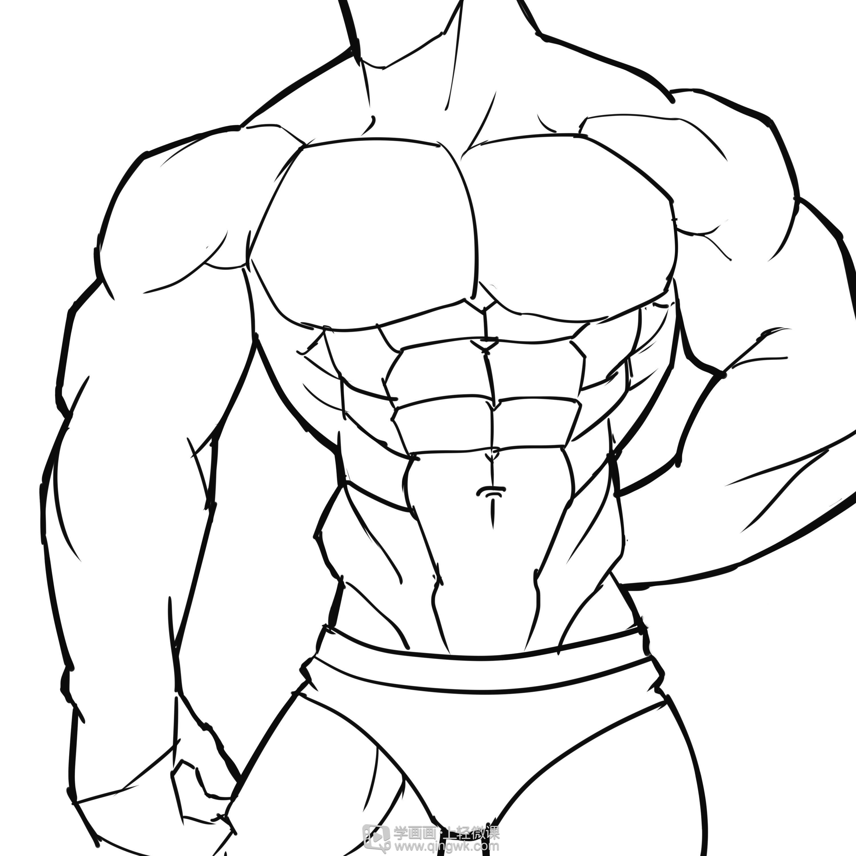 临摹男性肌肉—角色人物肌肉绘画训练