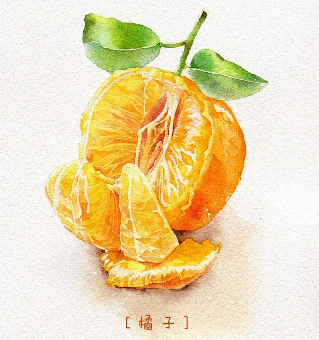 水彩橘子