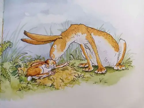 大兔子把小兔子放到叶子铺成的床上.