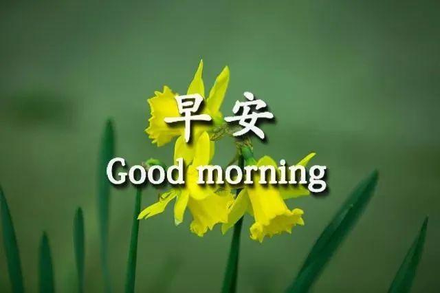 真人版美女早上好问候祝福语短信 微信漂亮的美女早安祝福动态表情