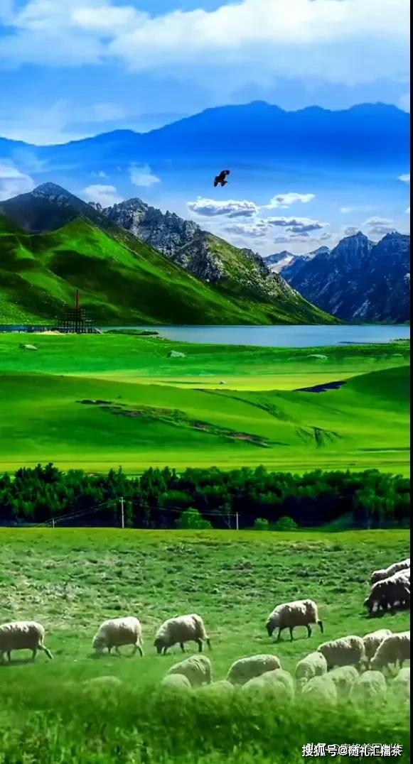 最能治愈人心的,便是这世间的美景_生活_大自然_青山绿水