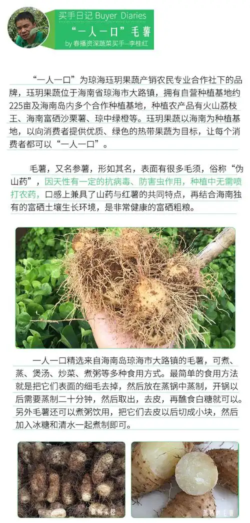 春播安心直采海南毛薯1000g