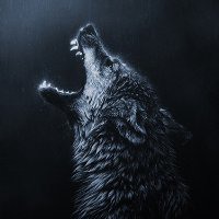 微信头像动物狼【点击鼠标右键下载】