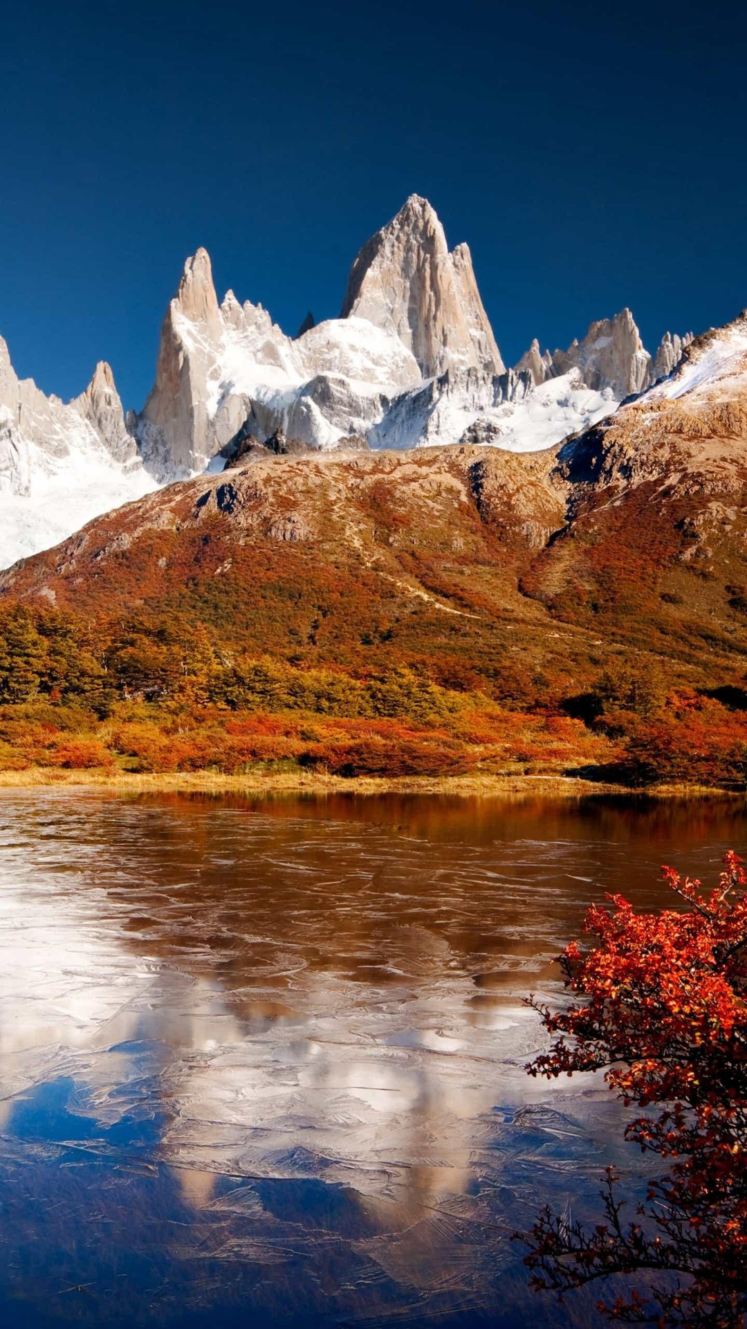 高山- 花粉随手拍保持距离 更加亲近 花粉俱乐部