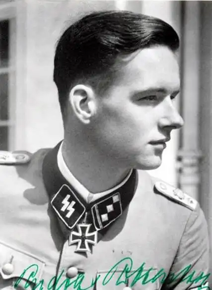 帅到极致二战德军美男子