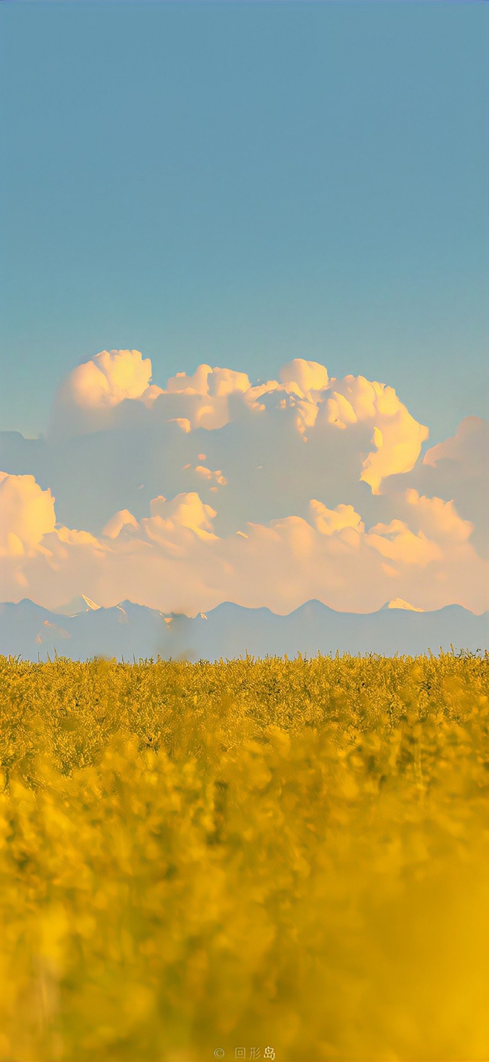 会被别人夸好看的壁纸