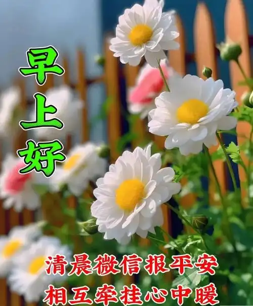 5月26日最新早上好问候语图片祝福