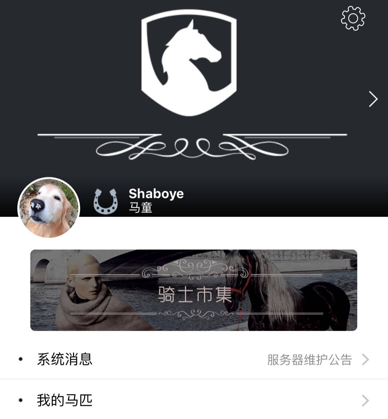 坐车坐船坐飞机,总是那么平稳那么不透气,早闷了吧,来换匹马试试.