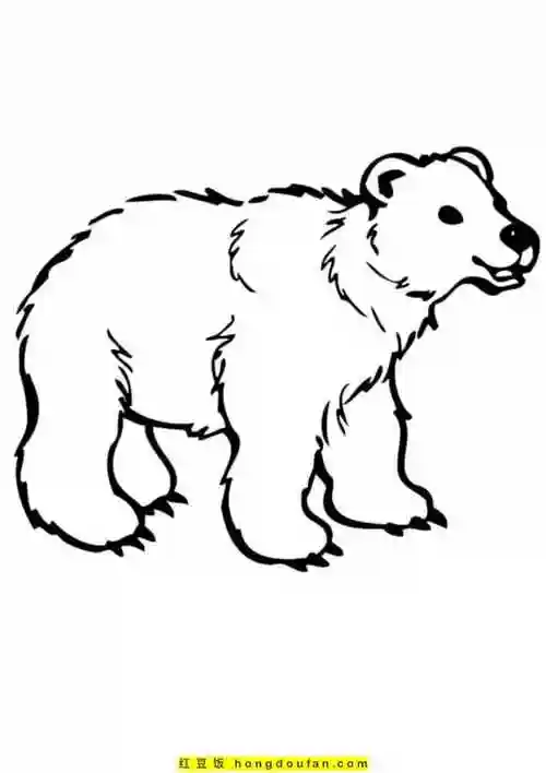 10张野生动物卡通涂色图片-红豆饭小学生简笔画大全