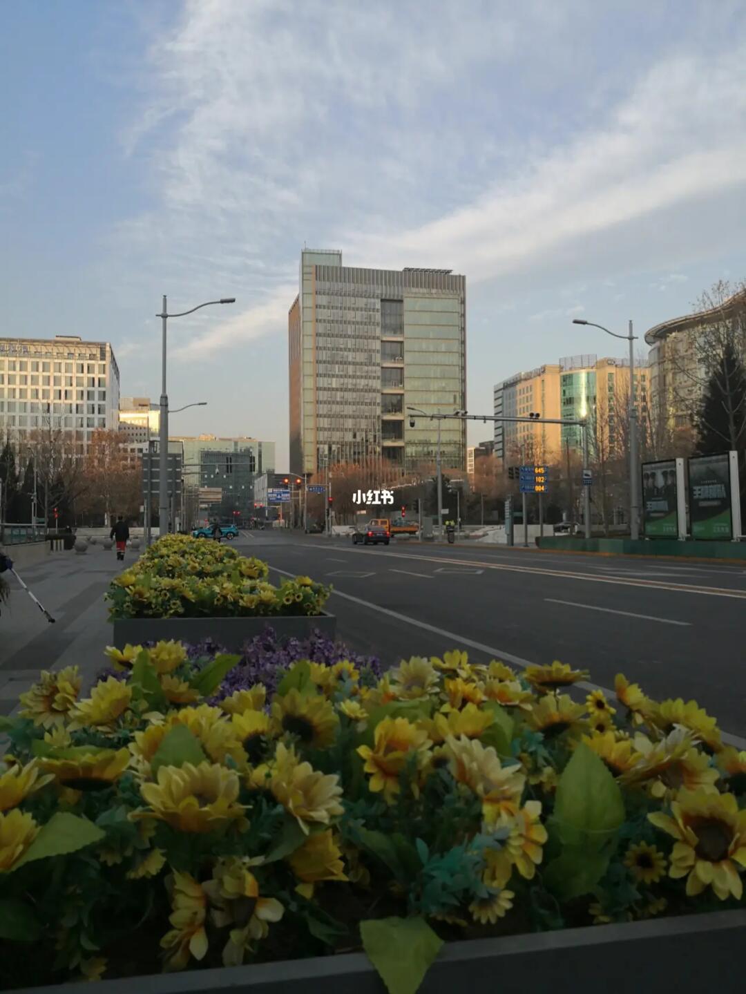 中关村西区的辞旧迎新年