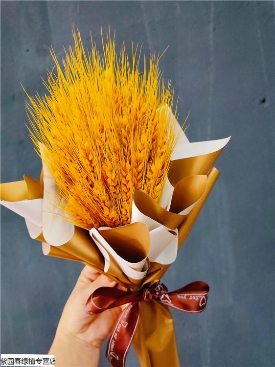 园艺天然麦穗干花迷你花束 运动会手捧花大麦伴手礼 开业礼物拍摄道具