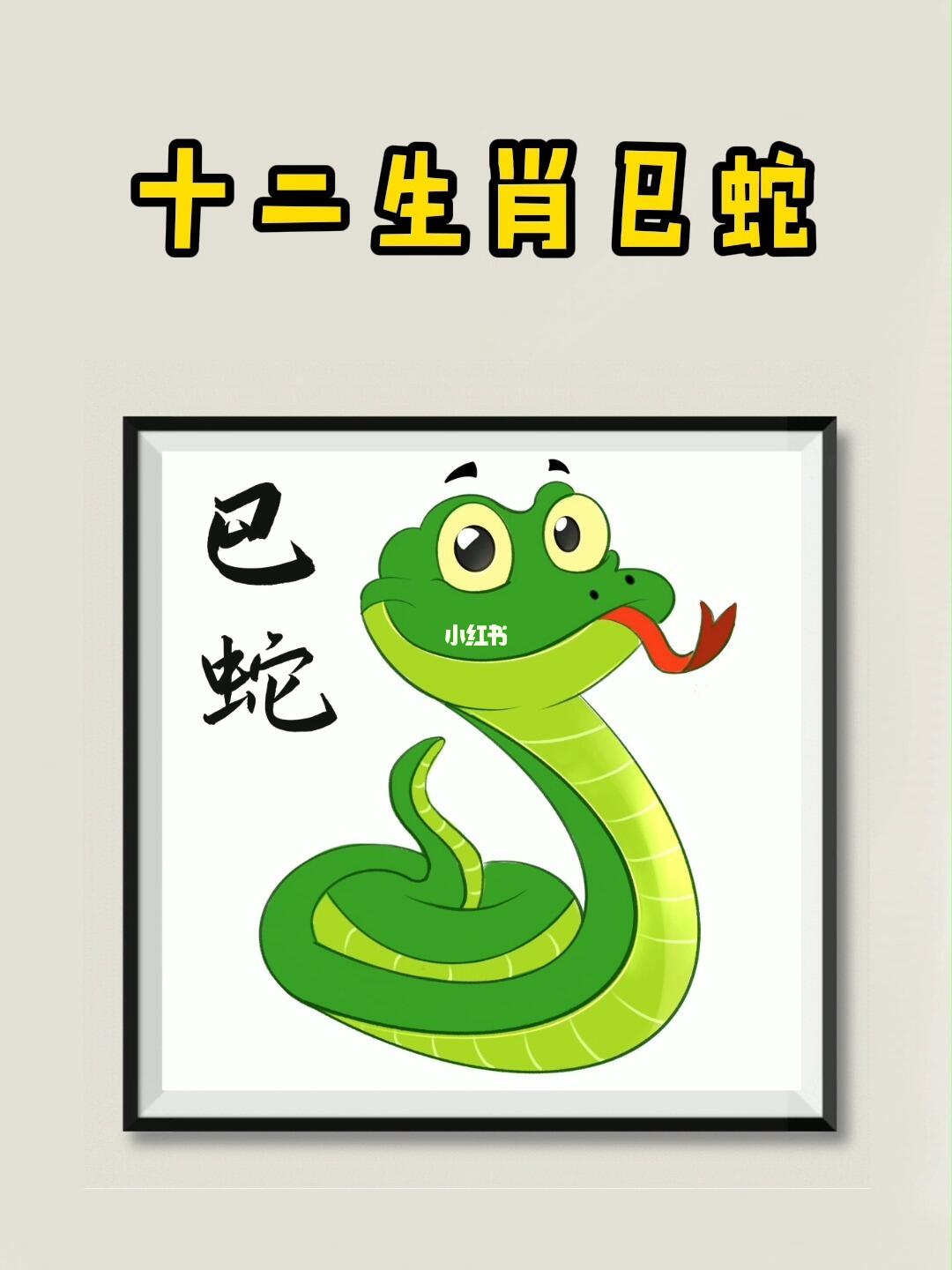 十二生肖巳蛇简笔画