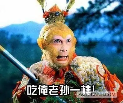 孙悟空爷爷在此表情包