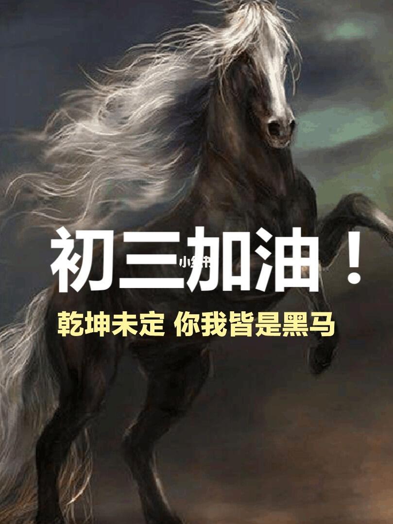 初三的你该努力了初三逆袭励志初三加油