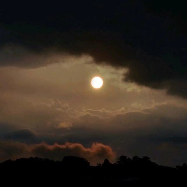 深夜发的伤感文案