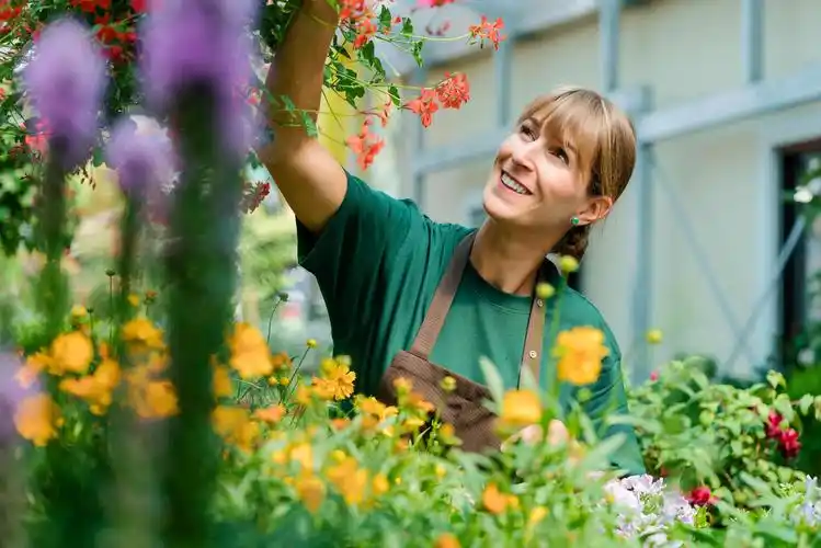 园丁在她的商店照顾一些花在挂篮
