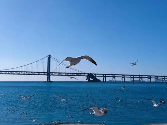 大连景点星海广场