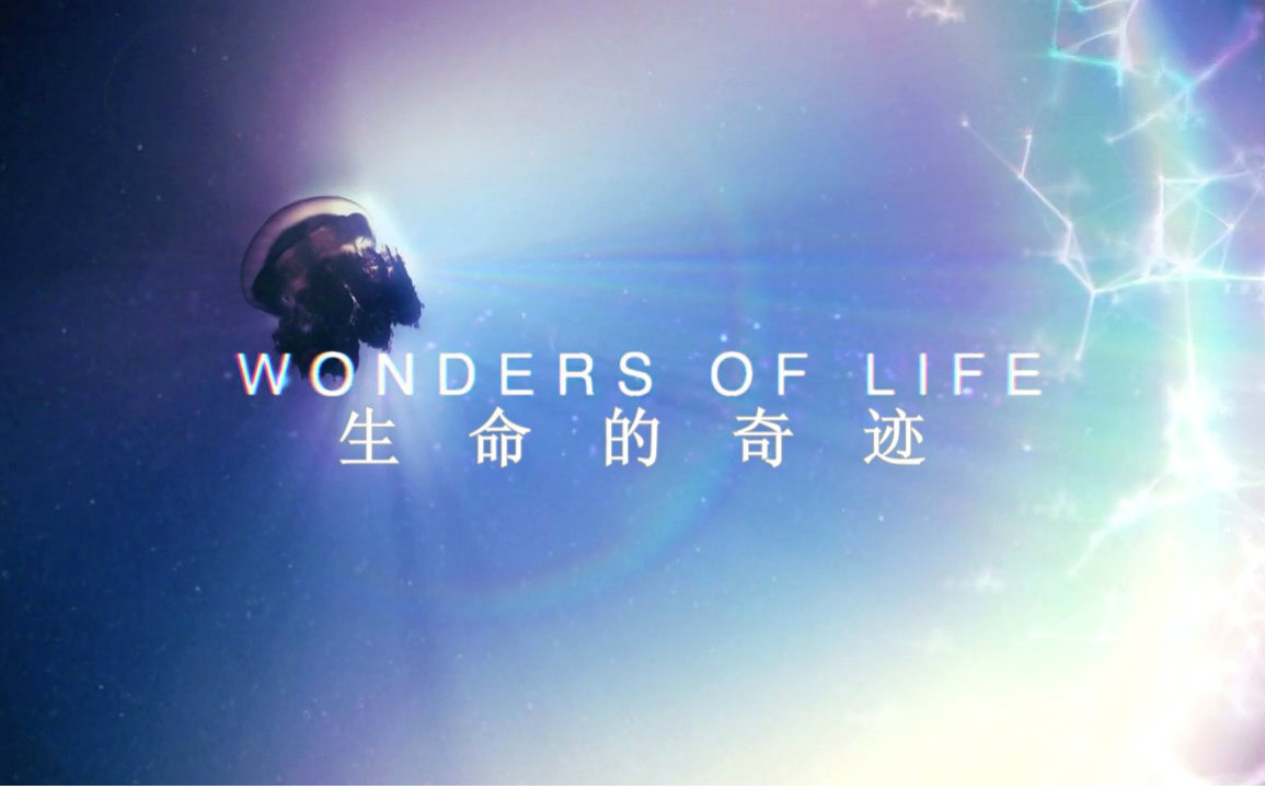 脑干出血2年后清醒危重患者出现奇迹有哪些条件