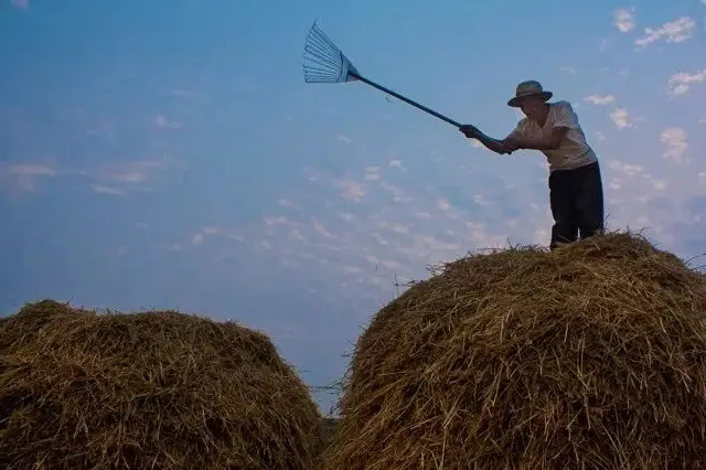 原创老家麦收模式即将开启这些过往的老照片满满的都是回忆