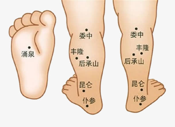 小儿腿部穴位