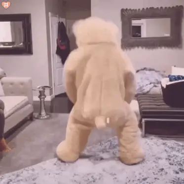 魔性跳舞小熊合集_表情