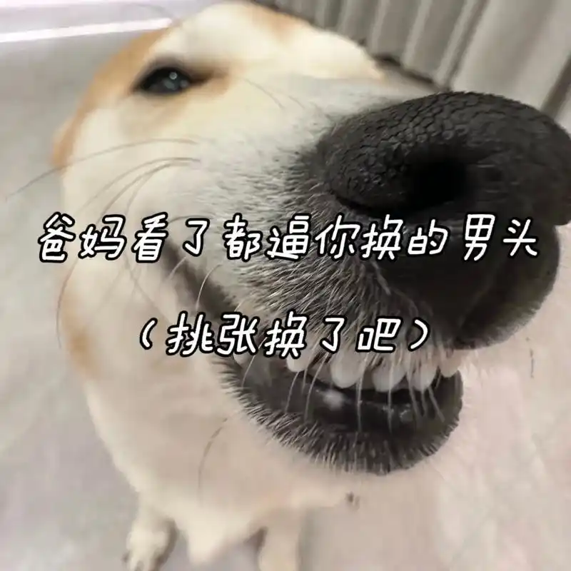 爸妈看了都逼你换的头像#优质头像 #男生头像  - 抖音