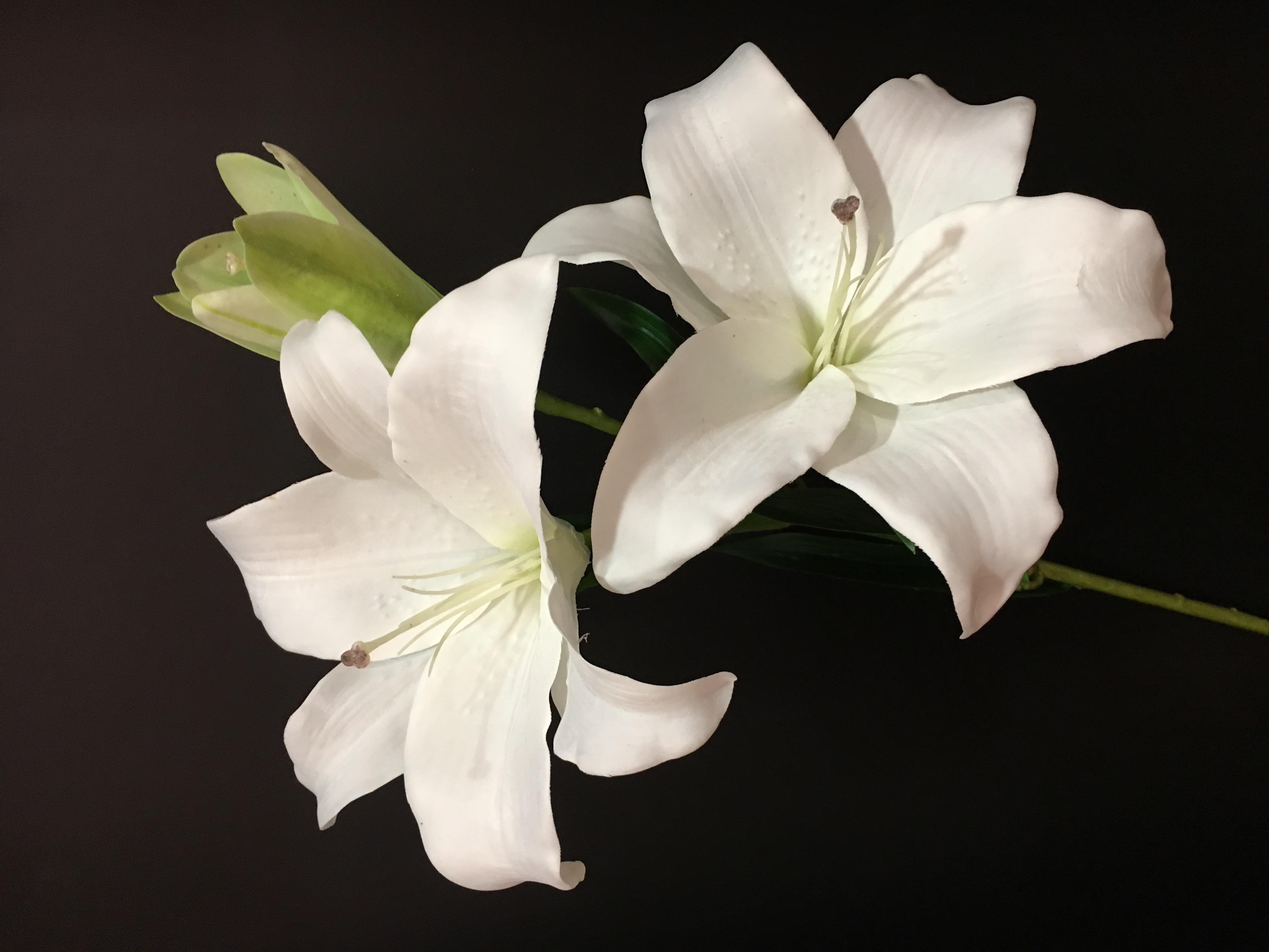 香水- 热门商品专区