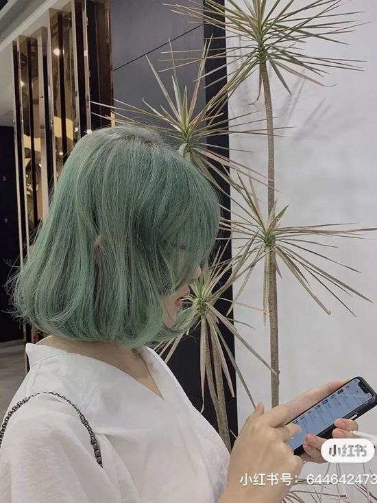 四大学院争奇斗艳谁能一举拔得头筹