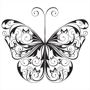 黑白蝴蝶图片-黑白蝴蝶素材-黑白蝴蝶插画-摄图新视界