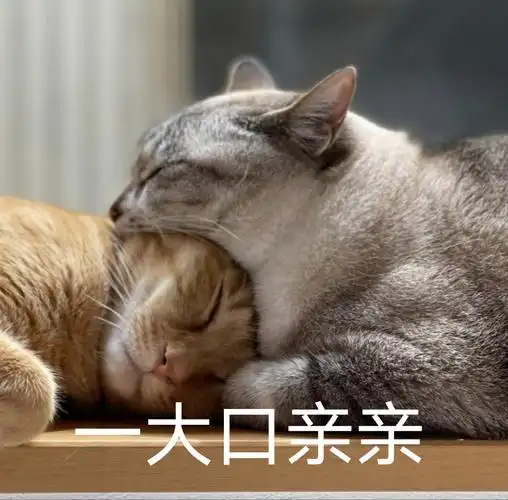 有没有情侣间调情的表情包