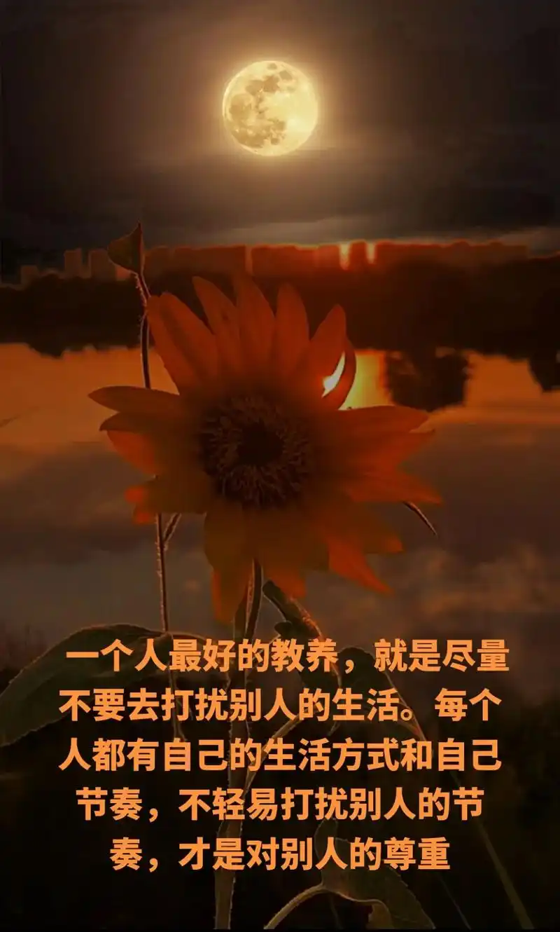 一个人最好的教养,就是尽量不要去打扰别人的生活.