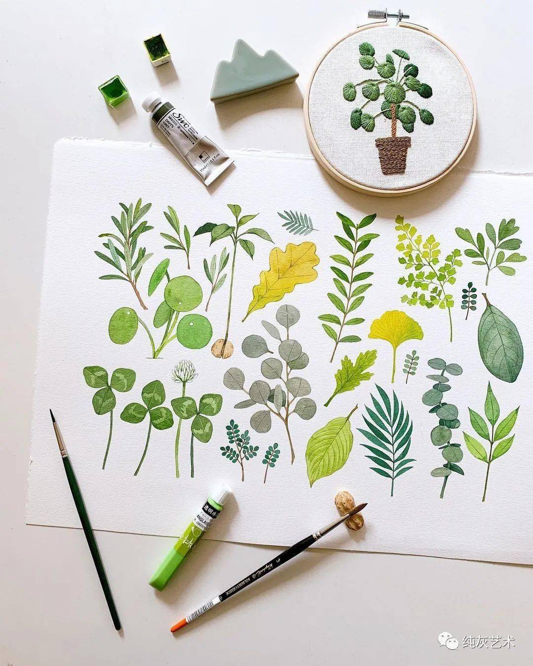 小清新治愈系水彩植物