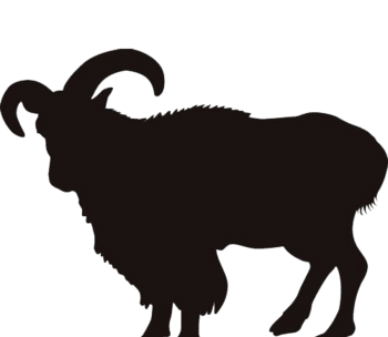 山羊剪影