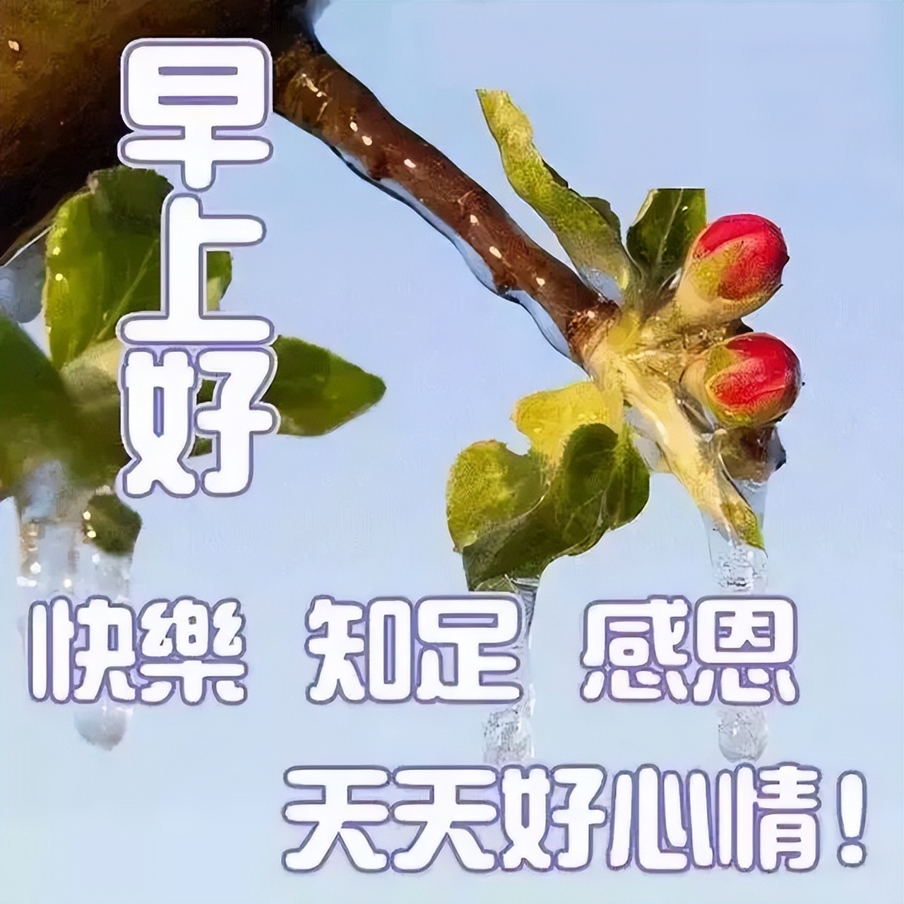 早上好问候语正能量早安心语简短句子 你所付出的总会收获些什么