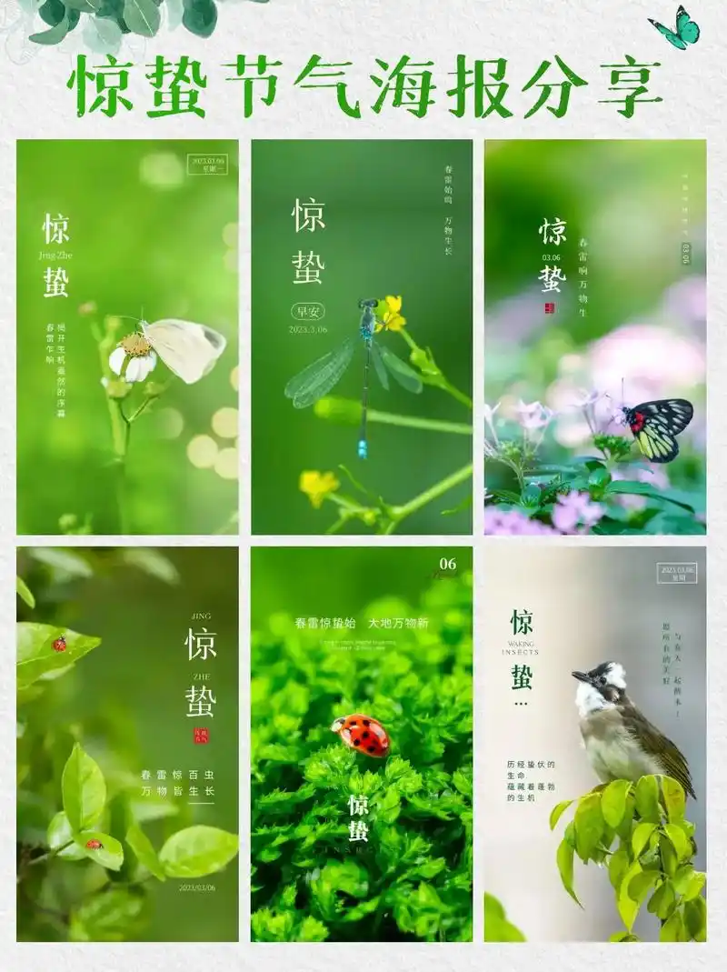 养眼绿色清新惊蛰节气摄影图海报分享