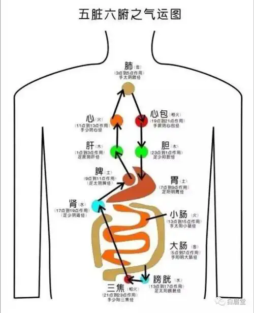 刮痧症状痧的颜色