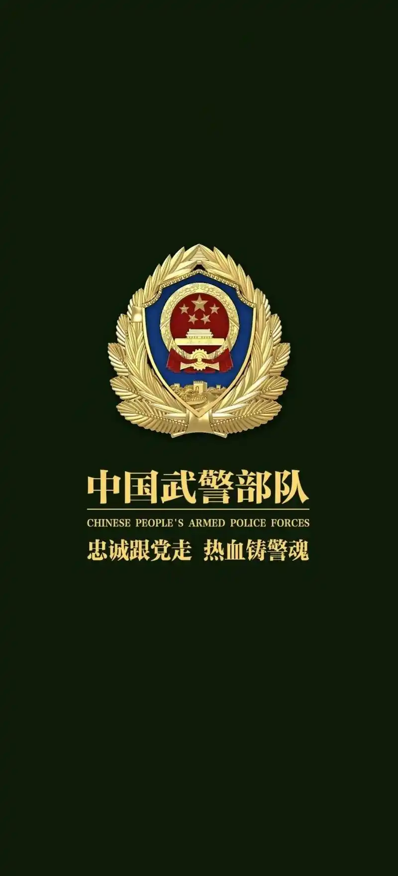 中国硬汉  取图请留言#高清壁纸 #退役军人 @抖音热点宝 - 抖音