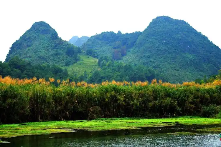 山水田园美如画