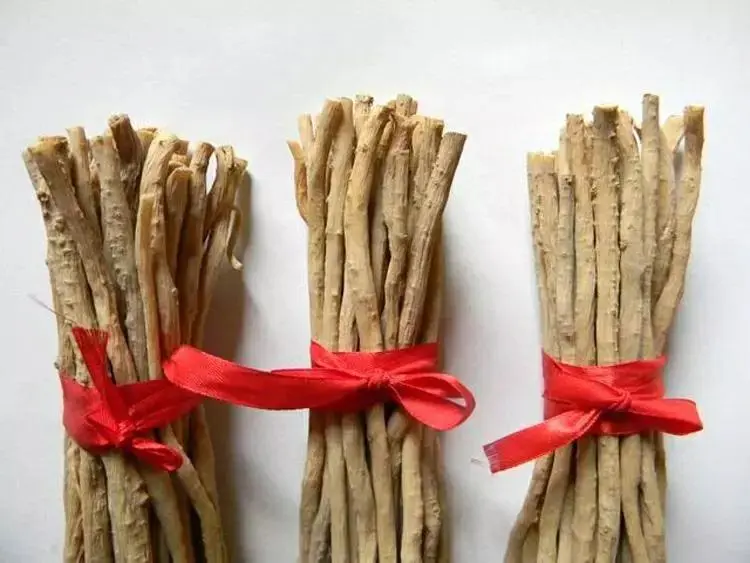 道地药材之四大怀药