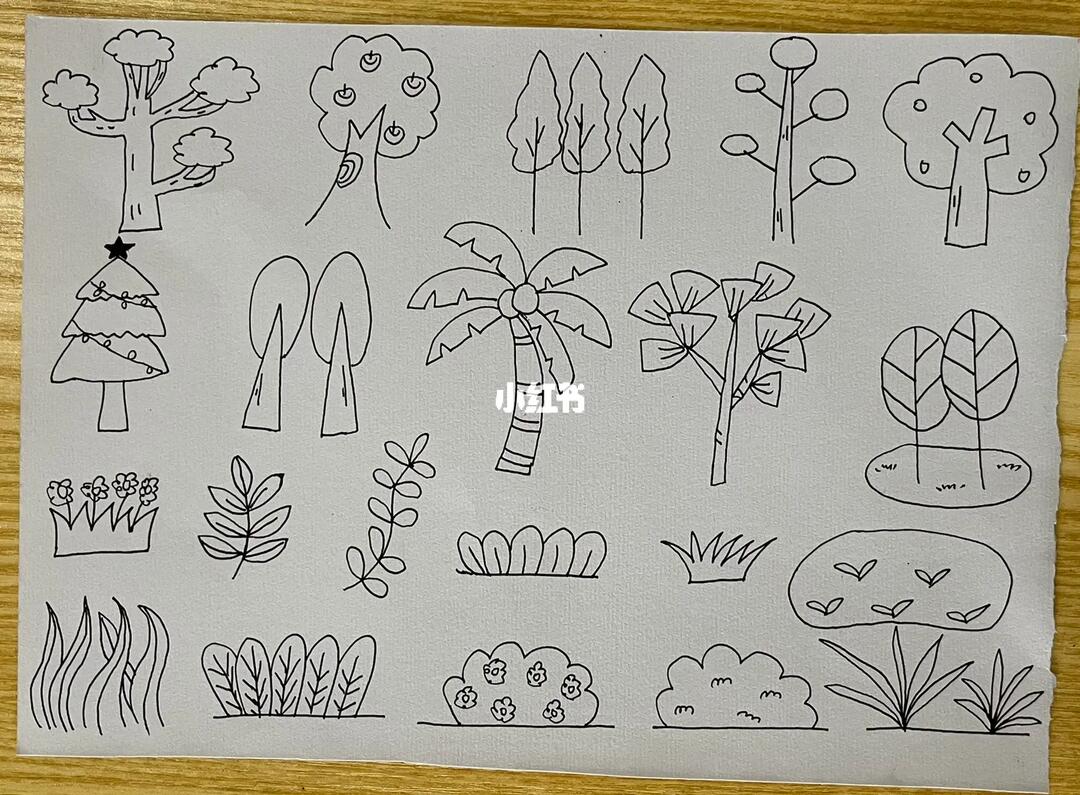 幼师考编简笔画之花草树木练习