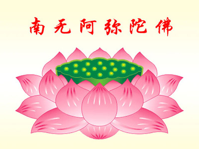 万佛堂 各种善美图片【阿弥陀佛 莲花】 a3尺寸过膜 相纸贴画