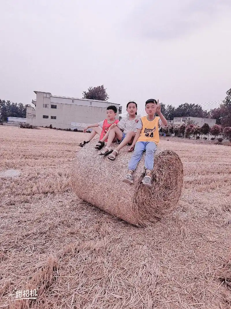记录美好童年 #农村孩子的乐趣 #三个小可爱 #只有照片能 - 抖音