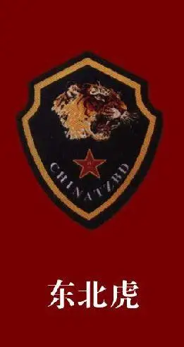中国各大特种部队简介及其臂章!