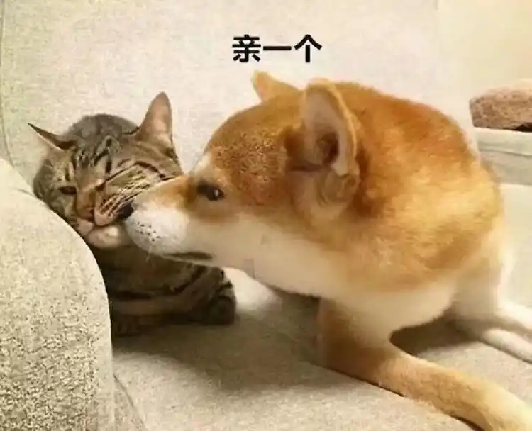 亲一个 - 斗图表情包 - 斗图神器 - adoutu.com