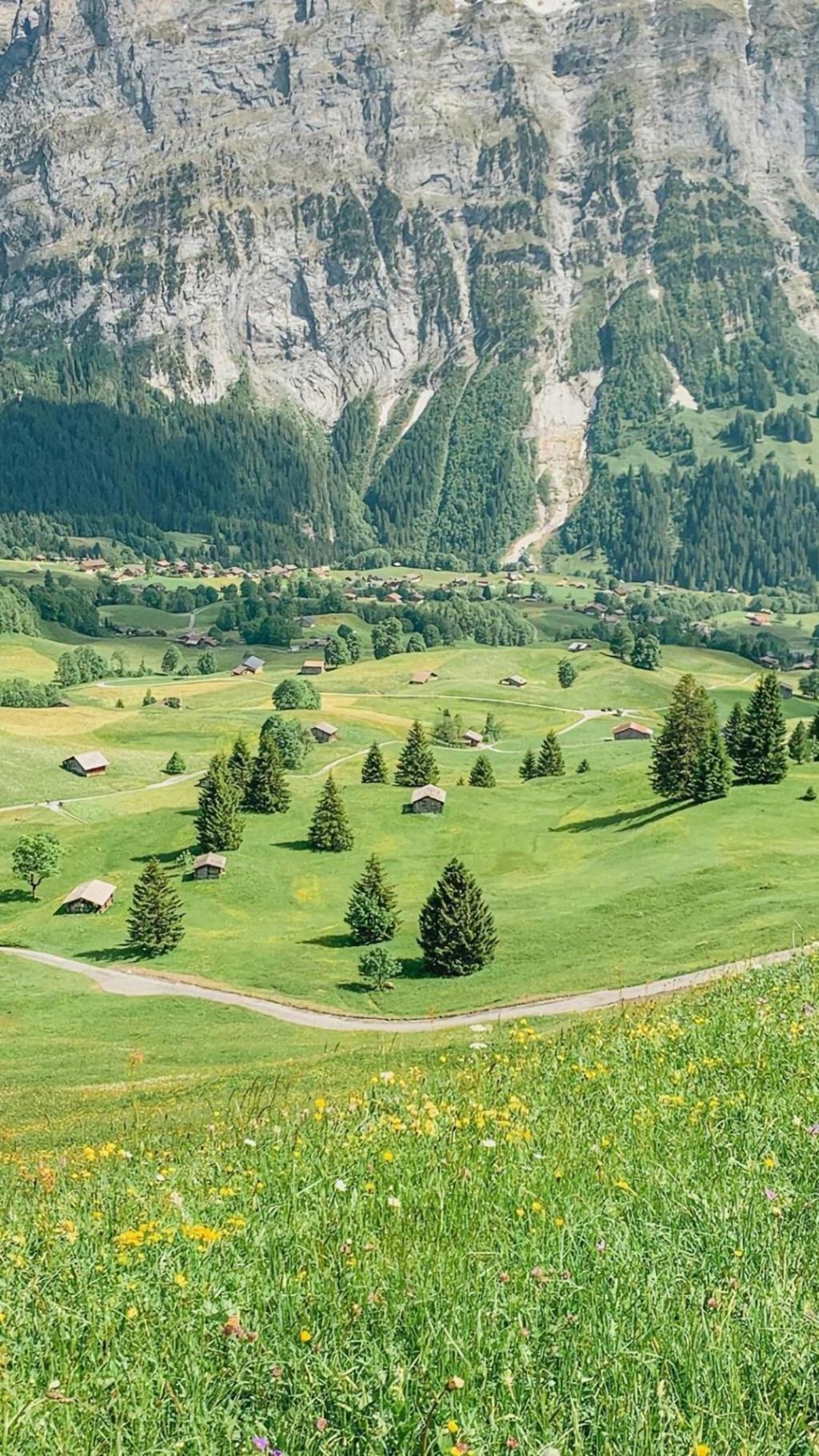 一望无际的迷人草原风景,高清图片,手机锁屏桌面-壁纸族