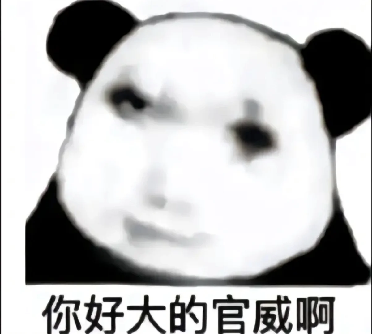 我是玉兔 打钱 十五的月亮十六元#龙玉涛  #龙图  #表情包  #搞笑表情