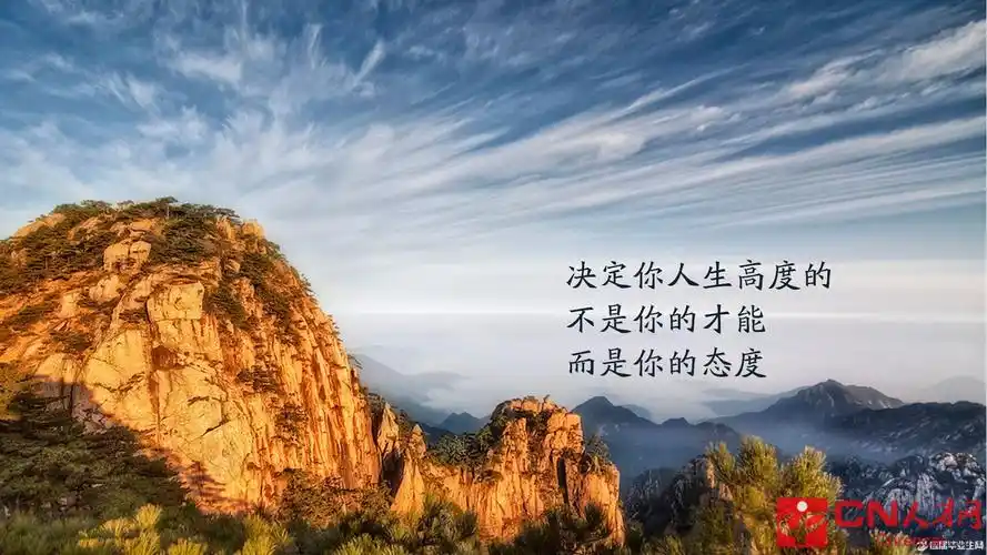 读书的励志名言