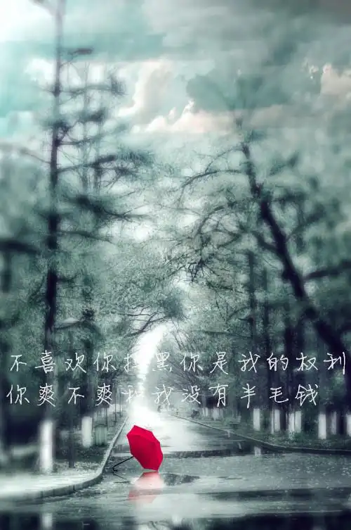 个性唯美意境带字伤感清新文字图片