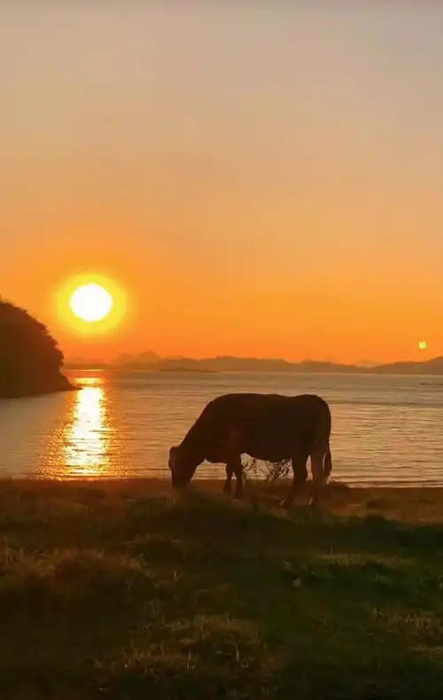 贵州山居落日归山海人间皆浪漫