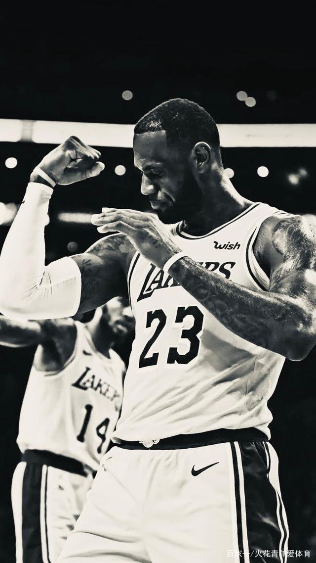 詹姆斯壁纸(银色调系列)